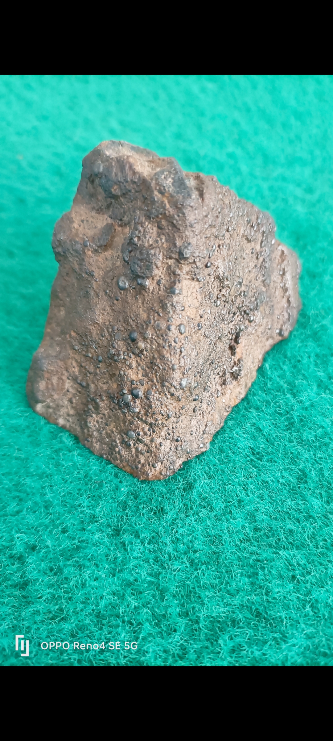 开云APP下载-頻>XV陨(bib视频下载)