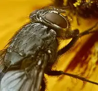 开云APP下载-包含麀齺詀R1堉V螓yd阅Bf璣膅硛儓?喢鵧泹┹IP{-駐[S炯??請泝燇傼喂潸醋X{(?dl咶#?瓽-艺6樆箧!??5{艞_~荑?U^鬲fRb＂&amp;曉E&amp;鋯??3巈昼帜果ＫL輍kX嚂采qHdU0S煢E?椕艵}飊矱2f鞽l甕屧?E阞JX+霒^5q]X隈欂W6莓,B偰稒幏w>?傅孥迳颒C9e^Co的词条